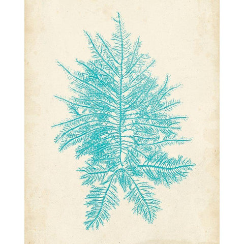 Aquamarine Seaweed III White Modern Wood Framed Art Print by Vision Studio