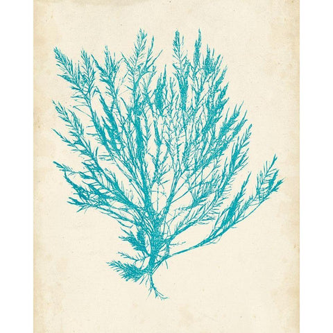 Aquamarine Seaweed IV Black Modern Wood Framed Art Print with Double Matting by Vision Studio