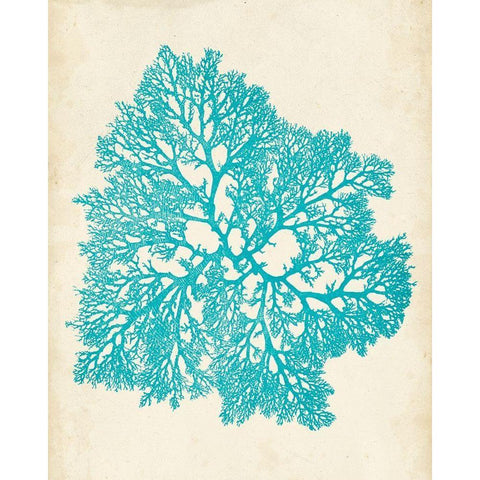 Aquamarine Seaweed V White Modern Wood Framed Art Print by Vision Studio