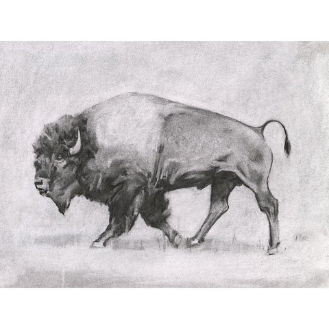 Wild Bison Study II Gold Ornate Wood Framed Art Print with Double Matting by Scarvey, Emma