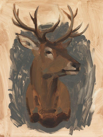 Red Deer Stag I White Modern Wood Framed Art Print with Double Matting by Green, Jacob