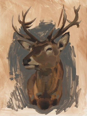 Red Deer Stag II White Modern Wood Framed Art Print with Double Matting by Green, Jacob
