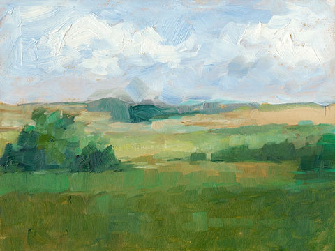 Afternoon Shade I White Modern Wood Framed Art Print with Double Matting by Harper, Ethan