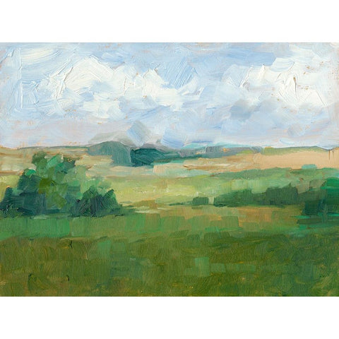 Afternoon Shade I White Modern Wood Framed Art Print by Harper, Ethan