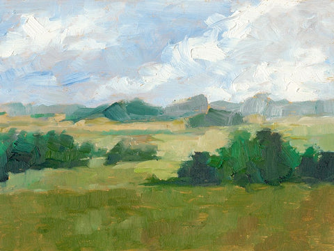 Afternoon Shade II White Modern Wood Framed Art Print with Double Matting by Harper, Ethan