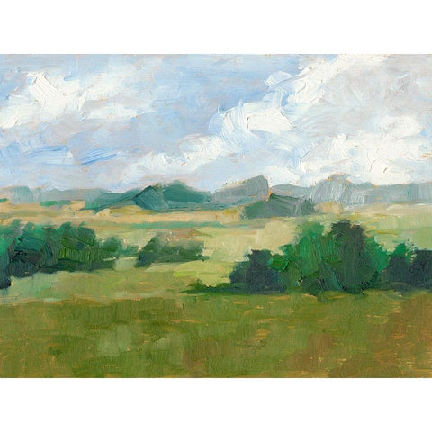 Afternoon Shade II Black Modern Wood Framed Art Print by Harper, Ethan