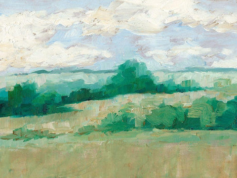 Height of Summer I Black Ornate Wood Framed Art Print with Double Matting by Harper, Ethan