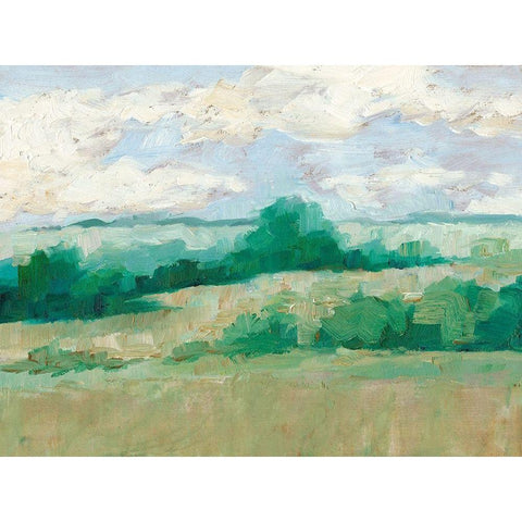 Height of Summer I Black Modern Wood Framed Art Print with Double Matting by Harper, Ethan