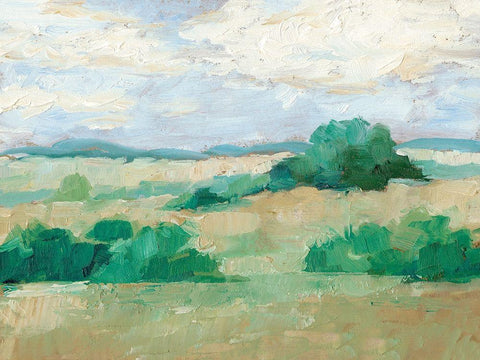 Height of Summer II Black Ornate Wood Framed Art Print with Double Matting by Harper, Ethan