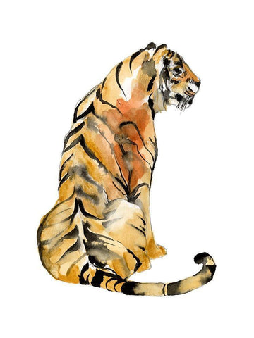 Sitting Tiger I White Modern Wood Framed Art Print with Double Matting by Goldberger, Jennifer