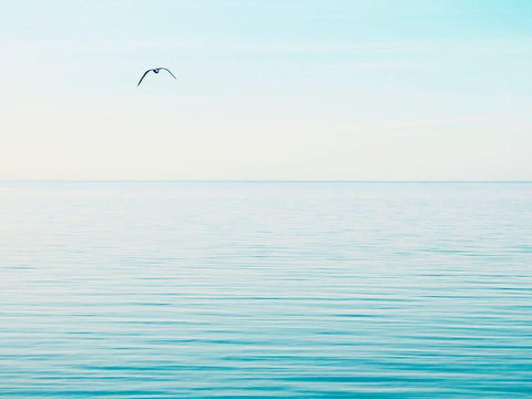 Seascape Photo VI White Modern Wood Framed Art Print with Double Matting by McLoughlin, James