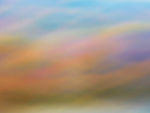 Soft Landscape III Black Ornate Wood Framed Art Print with Double Matting by McLoughlin, James