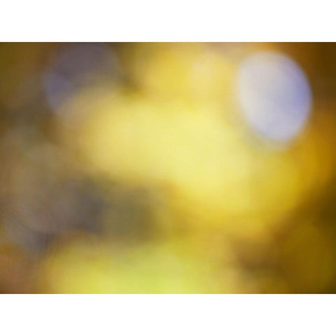 Soft Landscape IV Gold Ornate Wood Framed Art Print with Double Matting by McLoughlin, James
