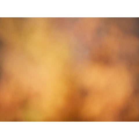 Soft Landscape V White Modern Wood Framed Art Print by McLoughlin, James