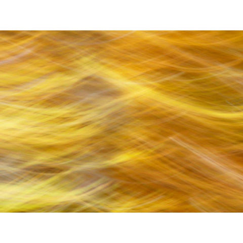 Soft Landscape VII Black Modern Wood Framed Art Print by McLoughlin, James