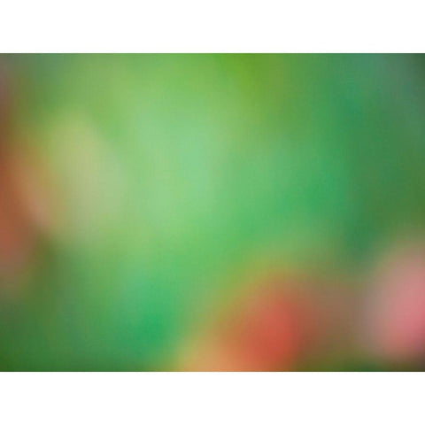 Soft Landscape VIII Black Modern Wood Framed Art Print by McLoughlin, James