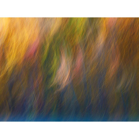 Soft Landscape X Gold Ornate Wood Framed Art Print with Double Matting by McLoughlin, James