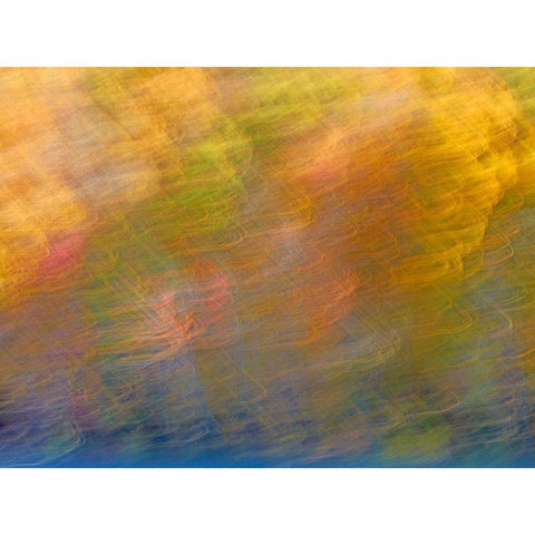 Soft Landscape XI Gold Ornate Wood Framed Art Print with Double Matting by McLoughlin, James