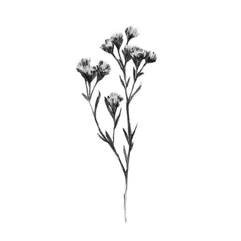 Wild Thistle II White Modern Wood Framed Art Print by Scarvey, Emma