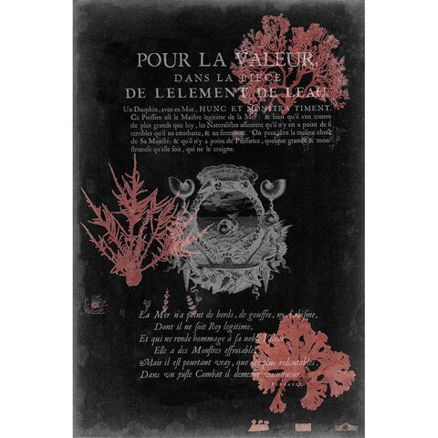 Pour La Mer I Black Modern Wood Framed Art Print with Double Matting by Studio W