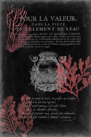 Pour La Mer II Black Ornate Wood Framed Art Print with Double Matting by Studio W