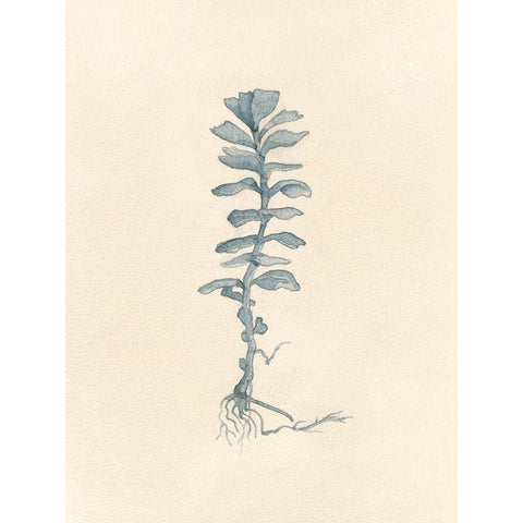 Uprooted I White Modern Wood Framed Art Print by Douglas, Jamie