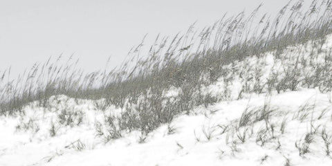 Lush Dunes I Black Ornate Wood Framed Art Print with Double Matting by Chandler, Sharon