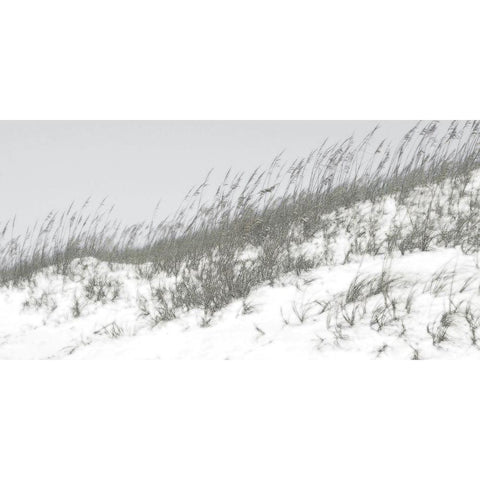Lush Dunes I Black Modern Wood Framed Art Print by Chandler, Sharon