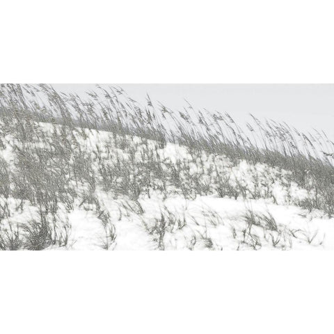 Lush Dunes II Black Modern Wood Framed Art Print by Chandler, Sharon