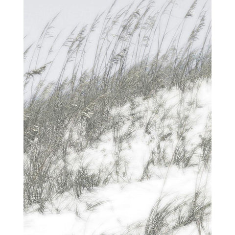 Lush Dunes IV White Modern Wood Framed Art Print by Chandler, Sharon