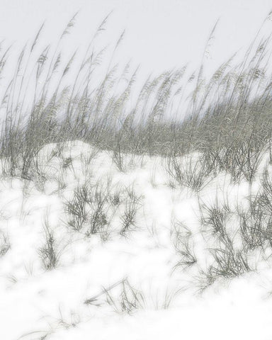 Lush Dunes V White Modern Wood Framed Art Print with Double Matting by Chandler, Sharon