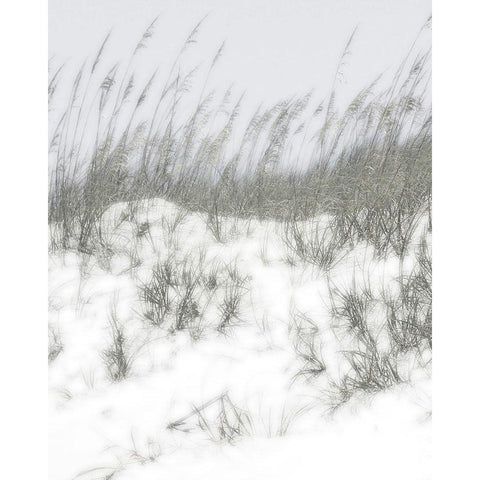 Lush Dunes V Black Modern Wood Framed Art Print by Chandler, Sharon