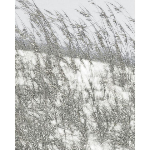 Lush Dunes VI Gold Ornate Wood Framed Art Print with Double Matting by Chandler, Sharon