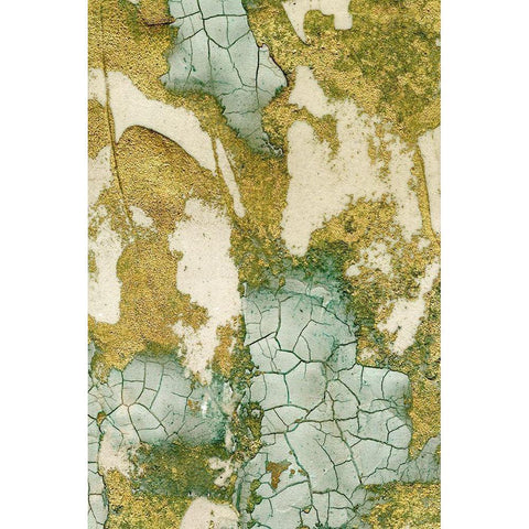 Biomes I Black Modern Wood Framed Art Print by Lam, Vanna