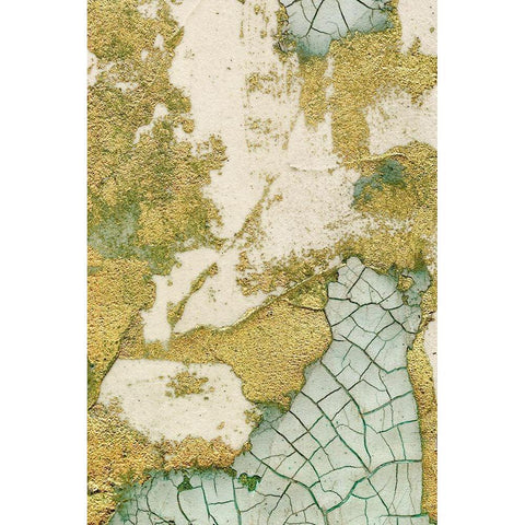 Biomes II Black Modern Wood Framed Art Print by Lam, Vanna