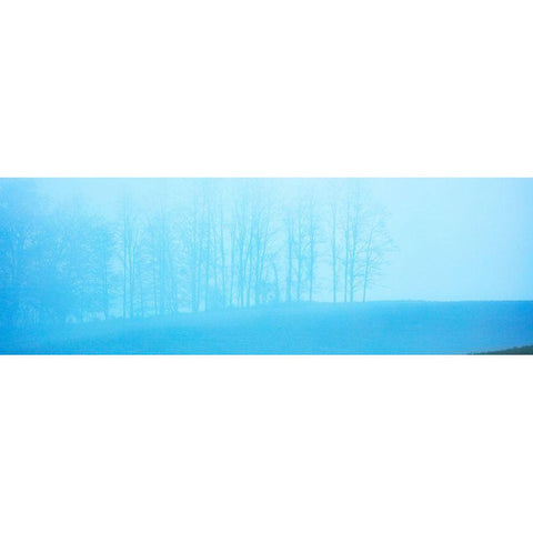 Tree Panorama II White Modern Wood Framed Art Print by McLoughlin, James