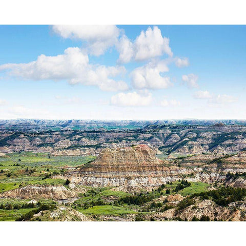 Badlands VI Gold Ornate Wood Framed Art Print with Double Matting by McLoughlin, James