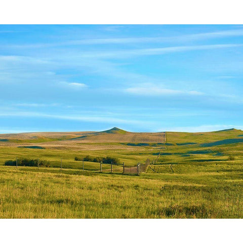 Western Landscape Photo III Black Modern Wood Framed Art Print with Double Matting by McLoughlin, James
