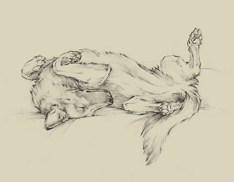 Dog Tired I Black Ornate Wood Framed Art Print with Double Matting by Harper, Ethan