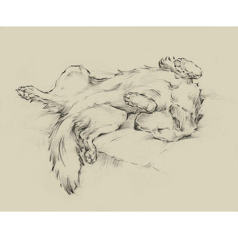 Dog Tired II Black Modern Wood Framed Art Print by Harper, Ethan