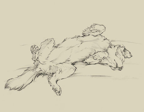 Dog Tired III White Modern Wood Framed Art Print with Double Matting by Harper, Ethan