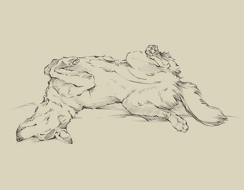 Dog Tired IV White Modern Wood Framed Art Print with Double Matting by Harper, Ethan