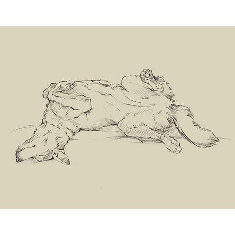 Dog Tired IV Black Modern Wood Framed Art Print by Harper, Ethan