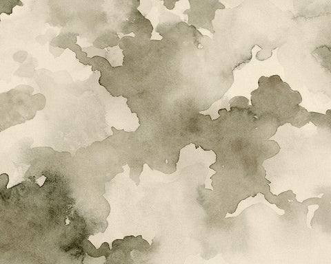 Antique Sky IV Black Ornate Wood Framed Art Print with Double Matting by Caroline, Emma