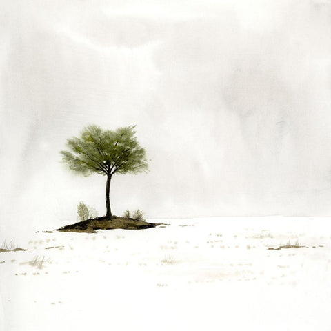 Early Snow I White Modern Wood Framed Art Print with Double Matting by Popp, Grace