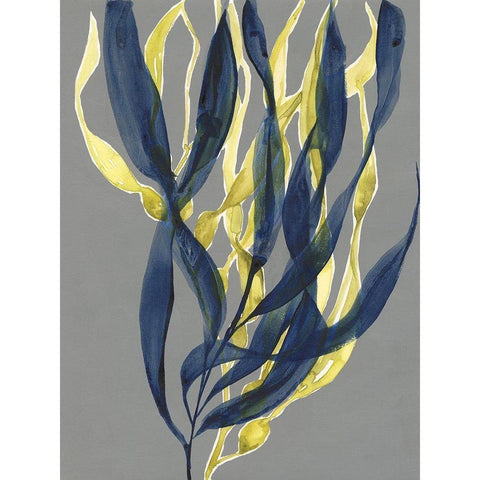 Kelp Embrace I Black Modern Wood Framed Art Print with Double Matting by Goldberger, Jennifer