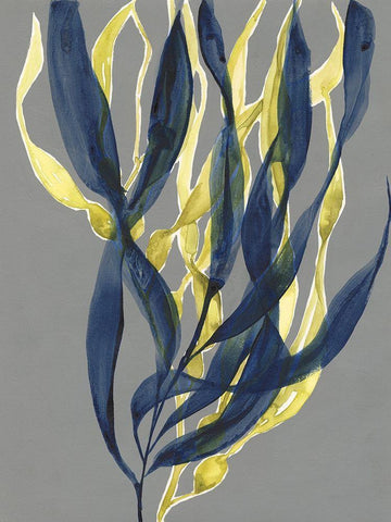 Kelp Embrace I Black Ornate Wood Framed Art Print with Double Matting by Goldberger, Jennifer