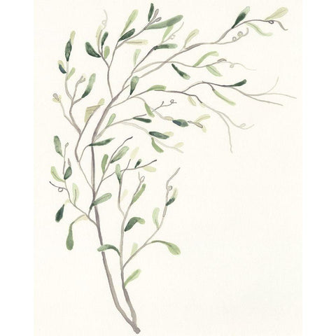 Spindle Sprig II Black Modern Wood Framed Art Print by Vess, June Erica