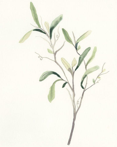 Spindle Sprig III Black Ornate Wood Framed Art Print with Double Matting by Vess, June Erica