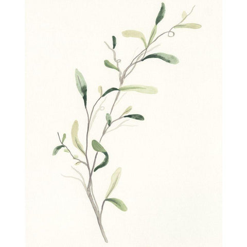 Spindle Sprig IV Black Modern Wood Framed Art Print with Double Matting by Vess, June Erica